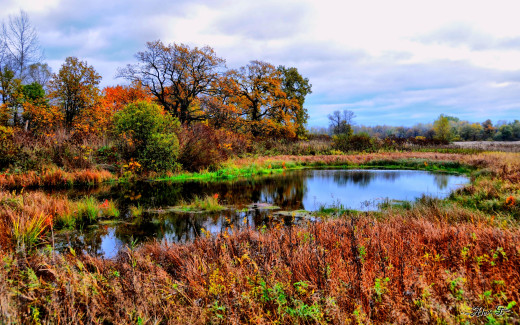 485815 (a): :2560x1600